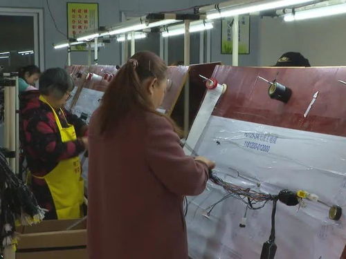 勞務(wù)服務(wù) 樂至縣鄉(xiāng)村振興的新引擎